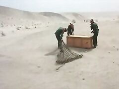 ass getting smacked hard while a girl is being raped.